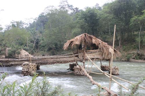 Kỳ thú săn cá sông Luồng