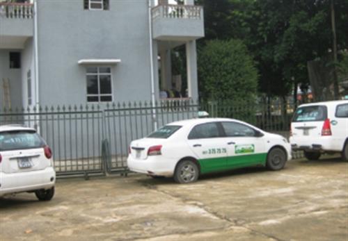 Bắt giữ 4 xe taxi Mai Linh chở động vật rừng trái phép