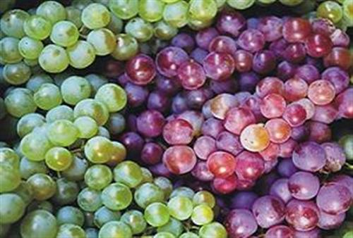 Những thực phẩm nên ăn cả vỏ