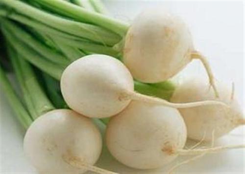 Nhiều vị thuốc quý từ củ cải