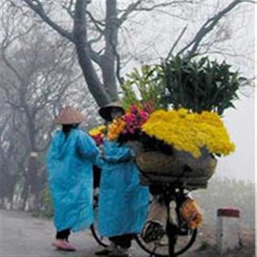 Cuối tuần, miền Bắc đón không khí lạnh
