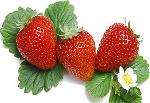 3 loại trái cây nên chọn sau mỗi bữa ăn