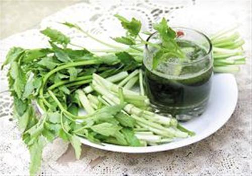 Những lợi ích cực tốt từ rau cần 