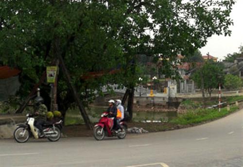 Nữ sinh kết thân với 'dân anh chị'