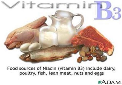 Vitamin nhóm B tăng cường trí nhớ