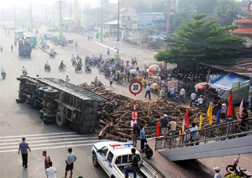 Hơn chục tấn gỗ tràn trước cổng Khu du lịch Suối Tiên