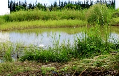 Rơi xuống hồ nước bỏ hoang, một nữ sinh chết đuối
