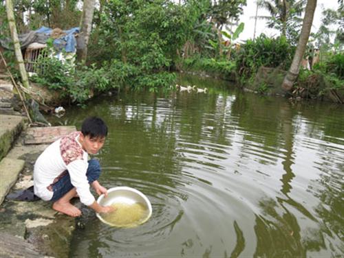 Vụ án 2 cái mũ và nỗi đau của 6 gia đình