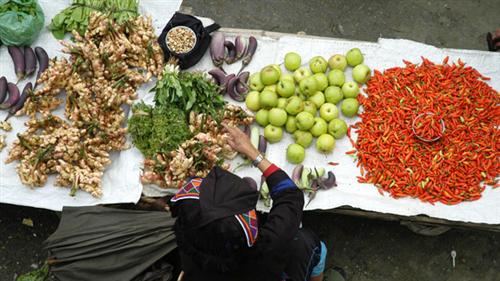 Họp chợ giữa mây trời