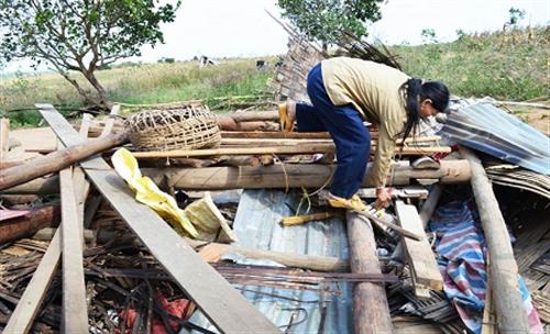 Rừng bị “bức tử”, voi kéo nhau về “quậy” dân tưng bừng