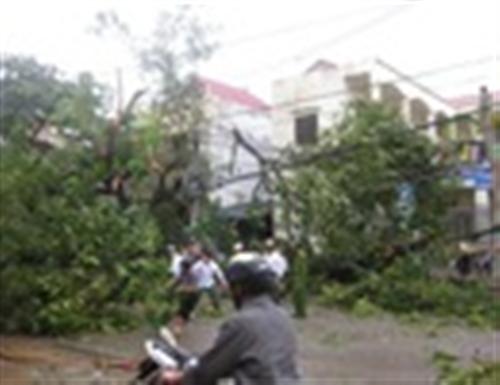 11 người chết và mất tích, 90 người bị thương sau bão số 8