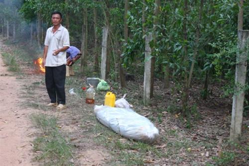 Phát hiện thi thể người đàn ông trong rừng tràm