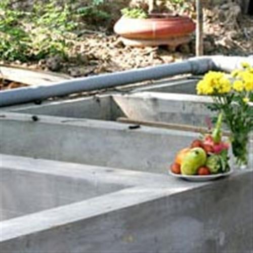 Bố giết con, ném vào bể nước