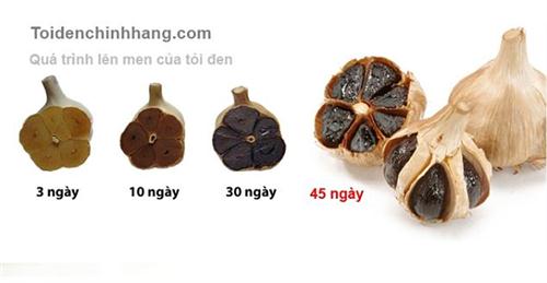 Cách làm tỏi đen nhanh và hiệu quả tại nhà và trong công nghiệp