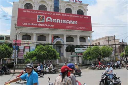 Trấn áp băng cướp có vũ khí giữa trung tâm TP Cà Mau