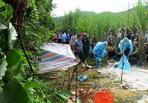 Đi tìm trâu, nữ sinh 13 tuổi chết bí ẩn trong vườn mía
