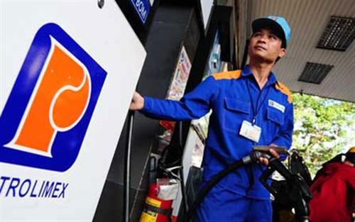 Đề nghị kiểm toán các Tập đoàn EVN, PVN, Petrolimex