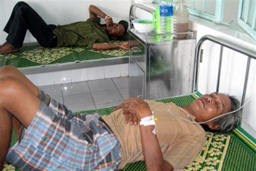 Nhặt heo chết ăn, 5 người thương vong