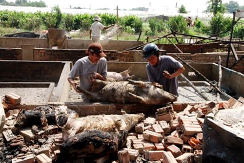 Hỏa hoạn cực lớn, 
