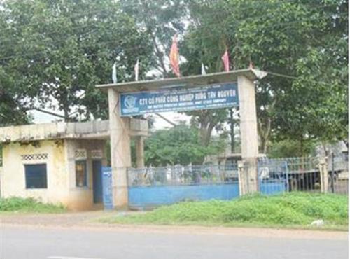 Khởi tố nguyên Tổng Giám đốc TCty lâm nghiệp Việt Nam