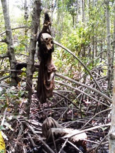 Những cái chết thảm bí ẩn trong rừng - tôm