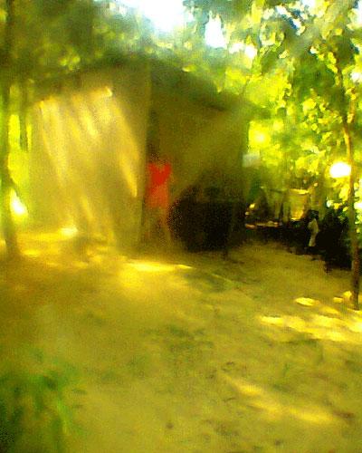 Mại dâm về làng