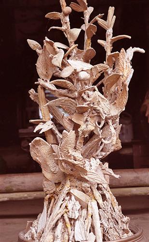 Lý giải cây hóa thạch 