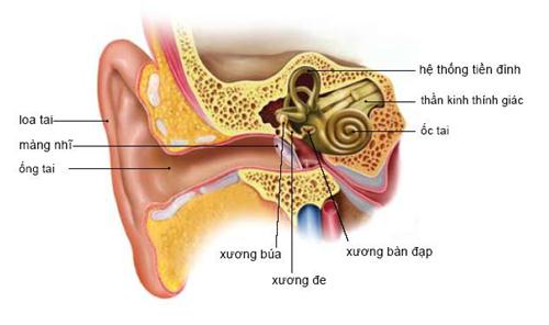 Bệnh rối loạn tiền đình và đôi điều cần biết