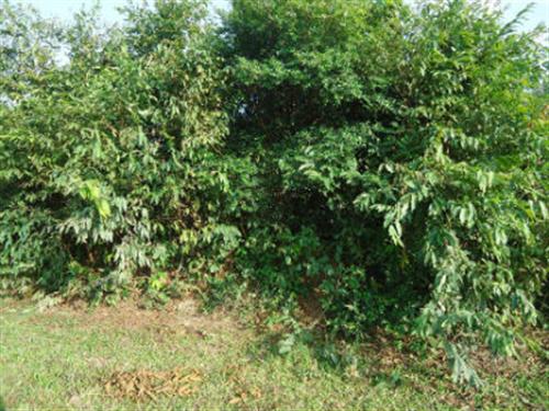 Siêu trộm “hé lộ” công nghệ chế 26 loại vam mở mọi ổ khóa