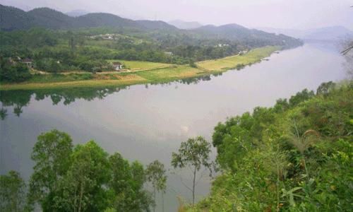 Người đàn bà ngoại tình lập mưu giết chồng